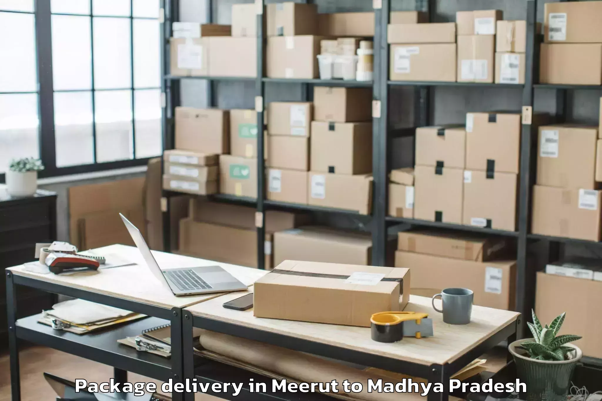 Easy Meerut to Karera Package Delivery Booking